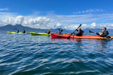 Whales spotted in a Tatoosh Islands Sea Kayaking Trip