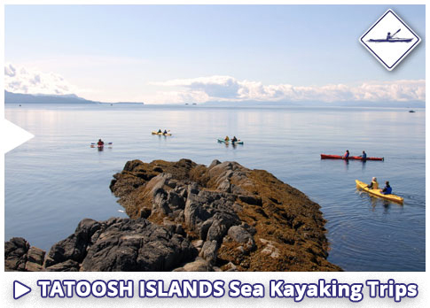 Tatoosh Islands, Ketchikan Alaska Sea Kayaking Tours